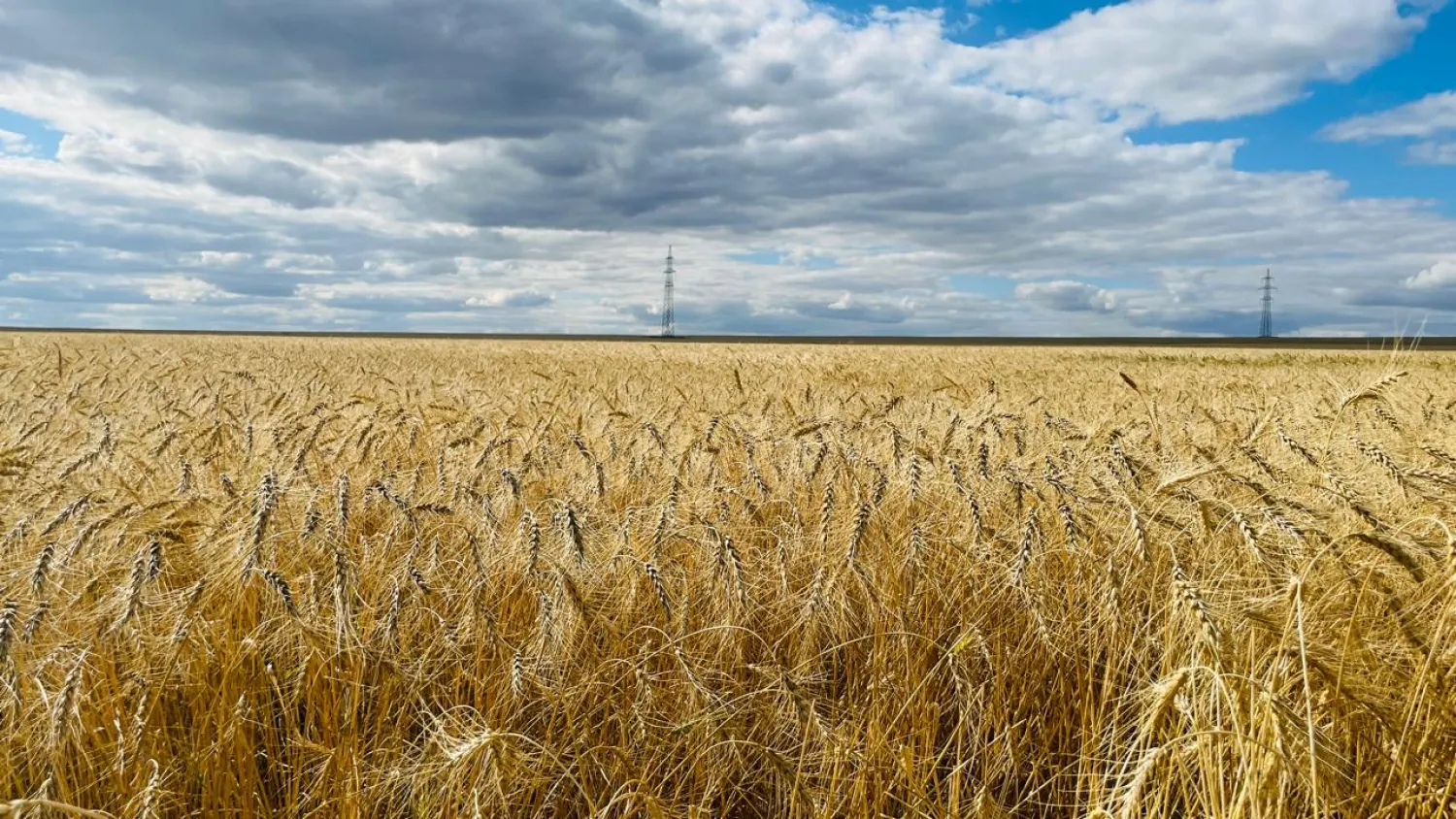 Фото: inkaraganda.kz